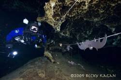 Going Batty in North Florida caves! by Becky Kagan 